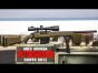 ARES Amoeba STRIKER S1 Sniper Rifle Overview | Great Sniper Rifle For Under $200? | AIRSOFTGI.COM