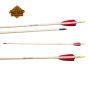 Arrow for 45-50 LB bow BIG ARCERTI TRADITION
