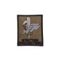 PATCH ISTRUTTORE DI PARACADITISMO   VERDE
