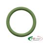 O-RING di tenuta per testa pistone in Viton (ORTP)