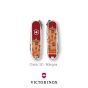 Multiuso Classic SD città Italiane Special Edition- BOLOGNA Victorinox