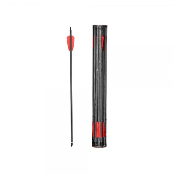 Set 10 Carbon Arrow 15 "inches For R9 Cobra System - Ek-Archery (D-112A)