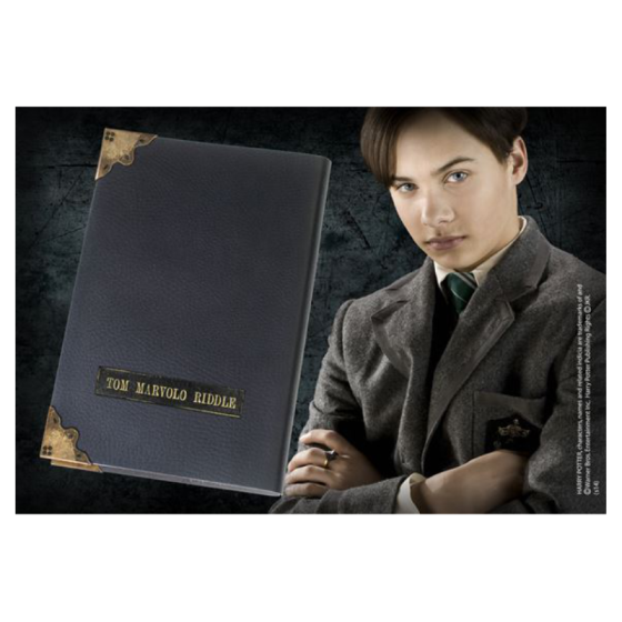 Diario tom riddle orcrux voldemort warner bros
